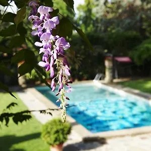 Park Palace **** פירנצה